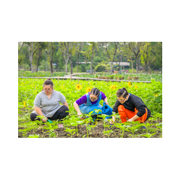 Mitarbeitende bei der Gartenarbeit